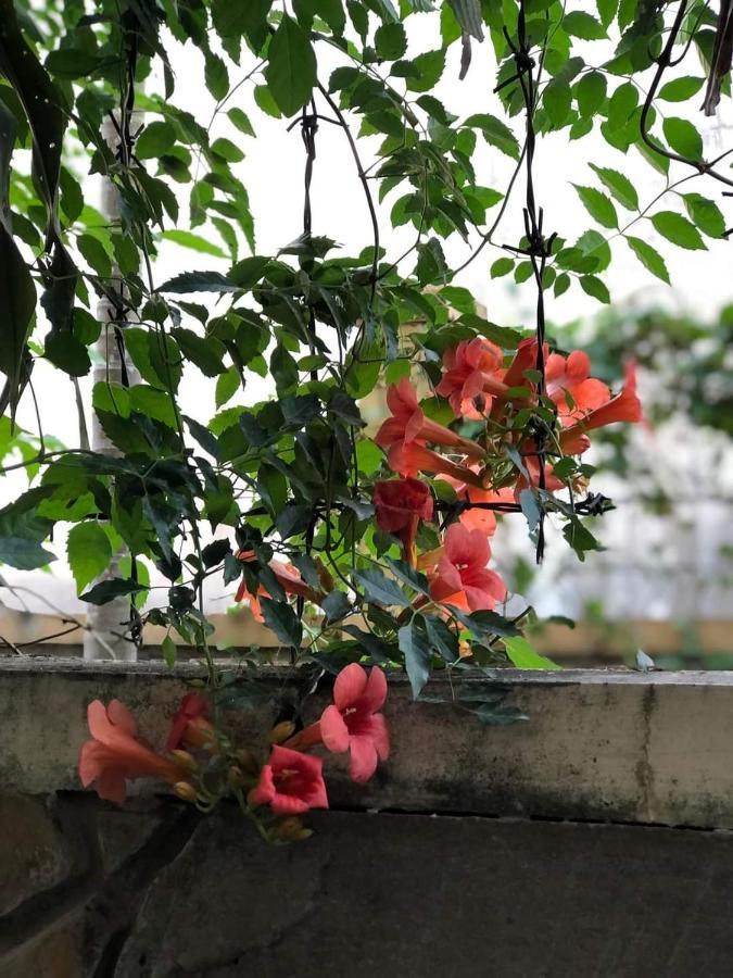 Hidden Hue Homestay Dış mekan fotoğraf