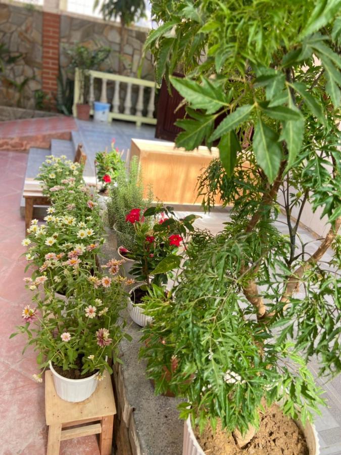 Hidden Hue Homestay Dış mekan fotoğraf