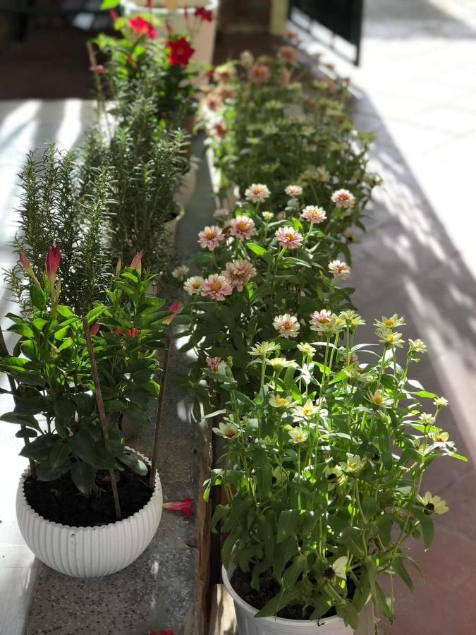 Hidden Hue Homestay Dış mekan fotoğraf