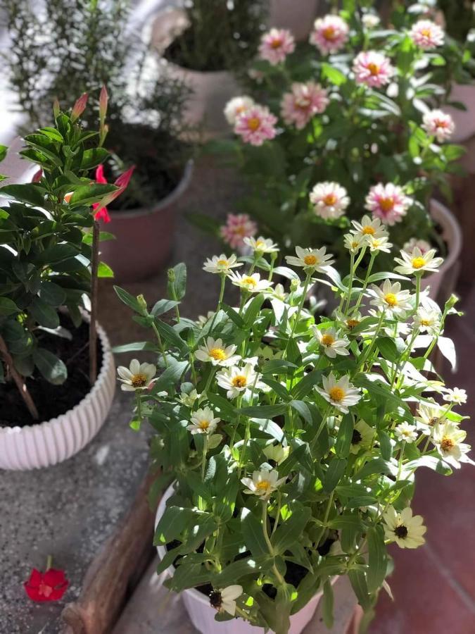 Hidden Hue Homestay Dış mekan fotoğraf